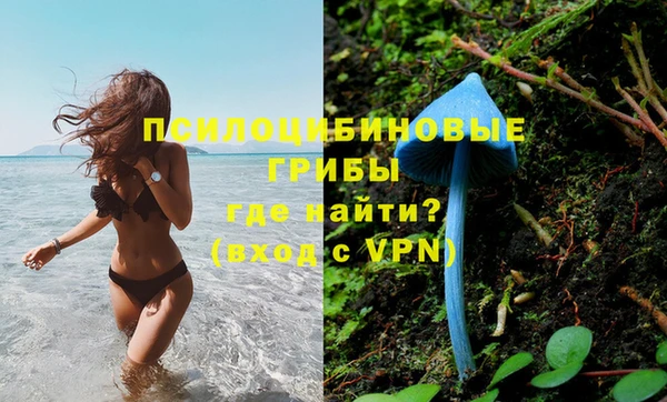 таблы Арсеньев