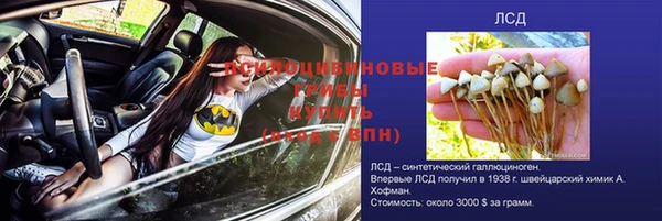 метадон Армянск
